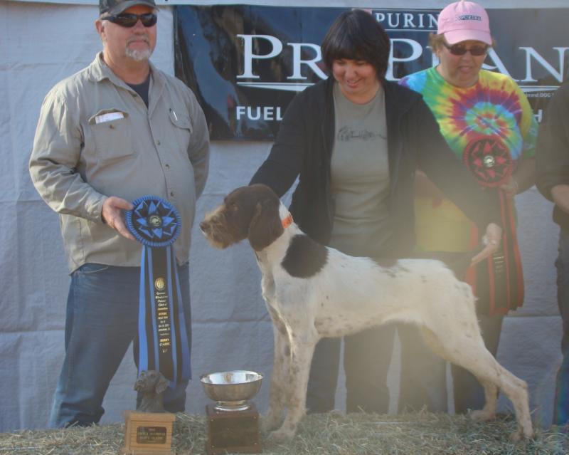 Idawire King Ralph--Winner of the 2012 GWPCA Puppy Classic!